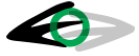 KC Novi Pazar Logo