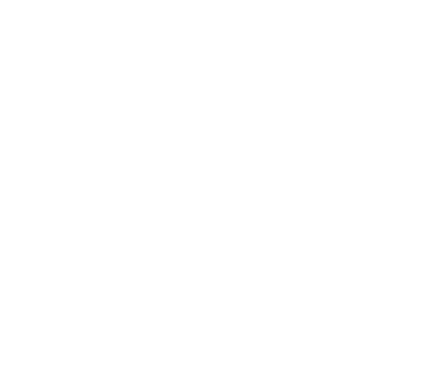 Algor Verus Logo