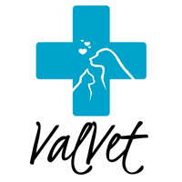 Valvet Logo