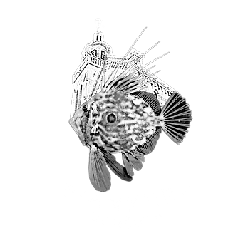 Konoba Biankura Korčula Logo