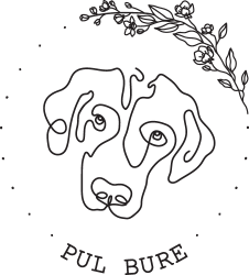 Salon Za Pse Pul Bure Logo