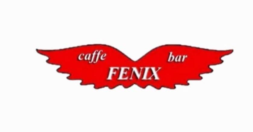 Fenix Logo