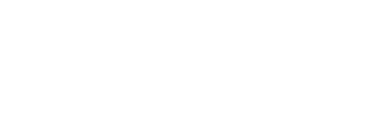 Discovery Car Rental Logo