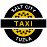 Salt City Taxi Logo