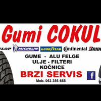 GUMI COKUL Logo