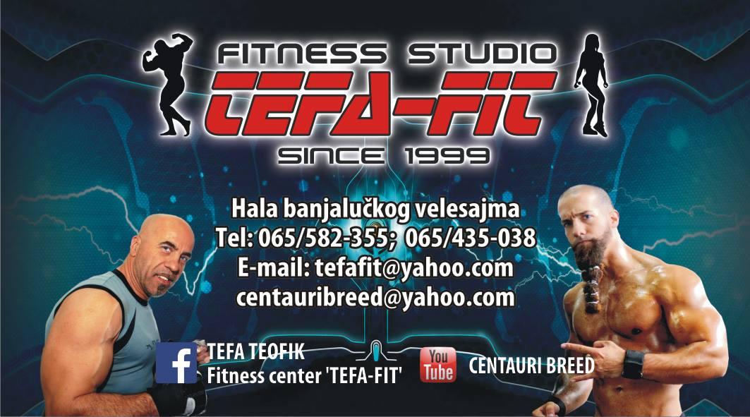 Fitness Center 'TEFA-FIT' Logo