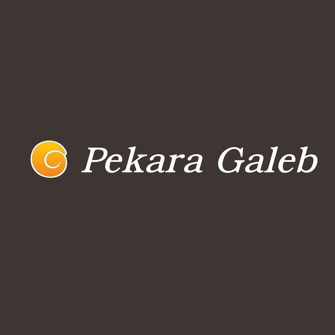 Pekara Galeb | Bjelovar Logo
