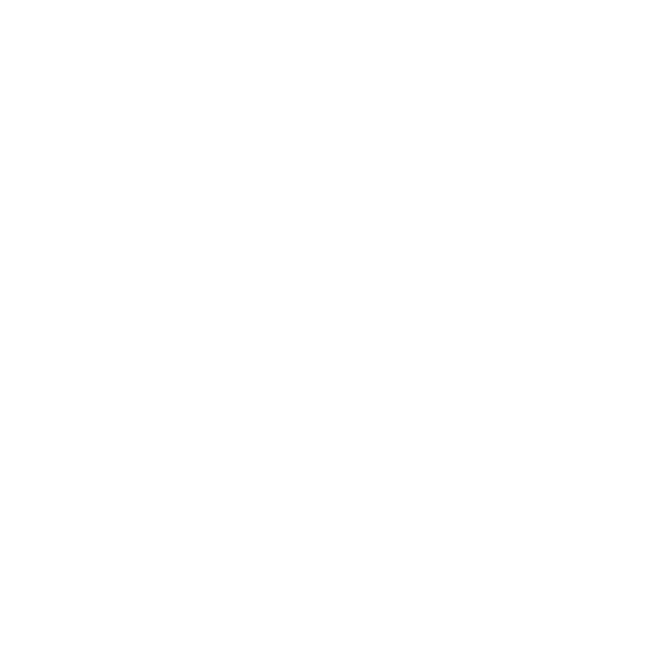 Hotel Novak logo