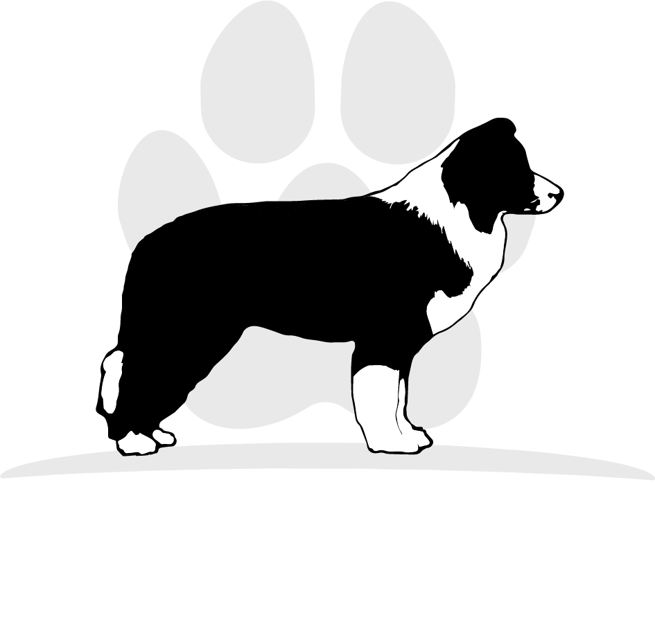 Hotel Za Pse Osijek Baranja | Čuvanje Pasa Osijek Logo