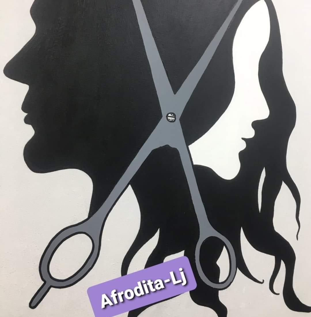 Frizerski salon Afrodita-Lj Logo