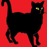 Caffe Bar Mačak Logo