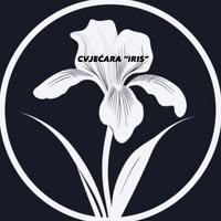 Cvjećara Iris Logo