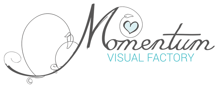 Momentum Visualfactory Logo