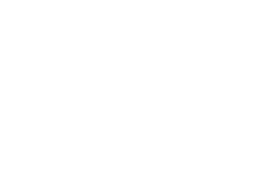 Valentino Logo