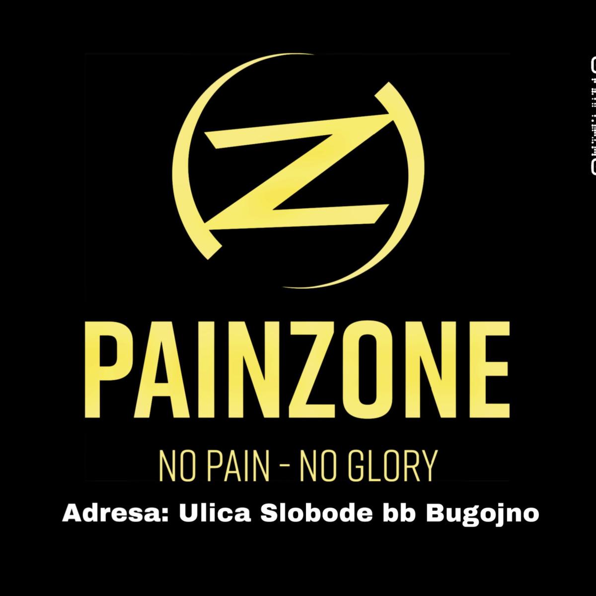 Painzone Bugojno Logo