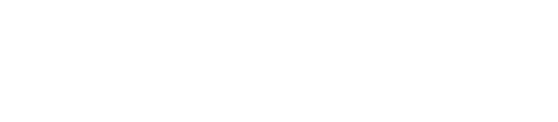 Auto Škola Lemi Force Sarajevo Logo