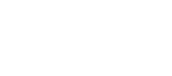 Weiss Immobilien Pula Logo
