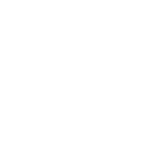 Dubrovnik Beer Company Logo