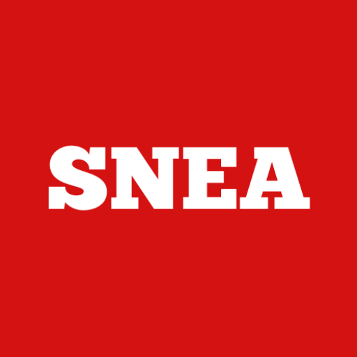 Snea D O O Logo