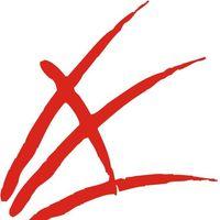 Eicom IT Logo