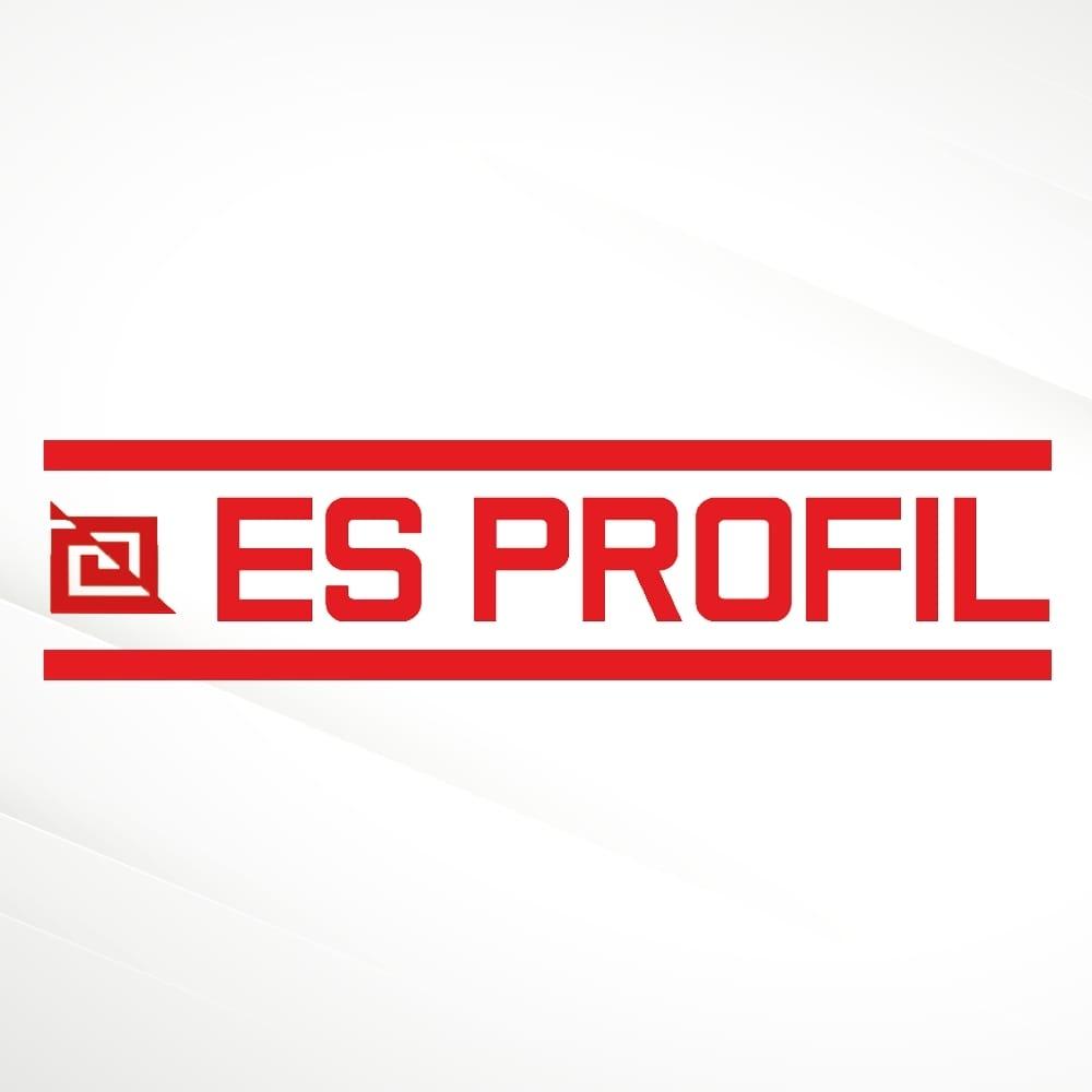 ES-PROFIL Logo