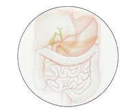 Internistička Ordinacija Dr Marino Derossi Logo