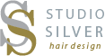 Hair Studio Silver Logo
