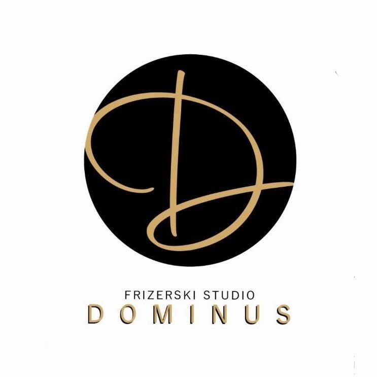 Studio Dominus Logo