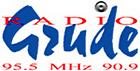 Radio Grude Logo