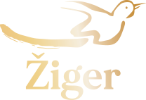 ŠKOLA STRANIH JEZIKA - ŽIGER Logo