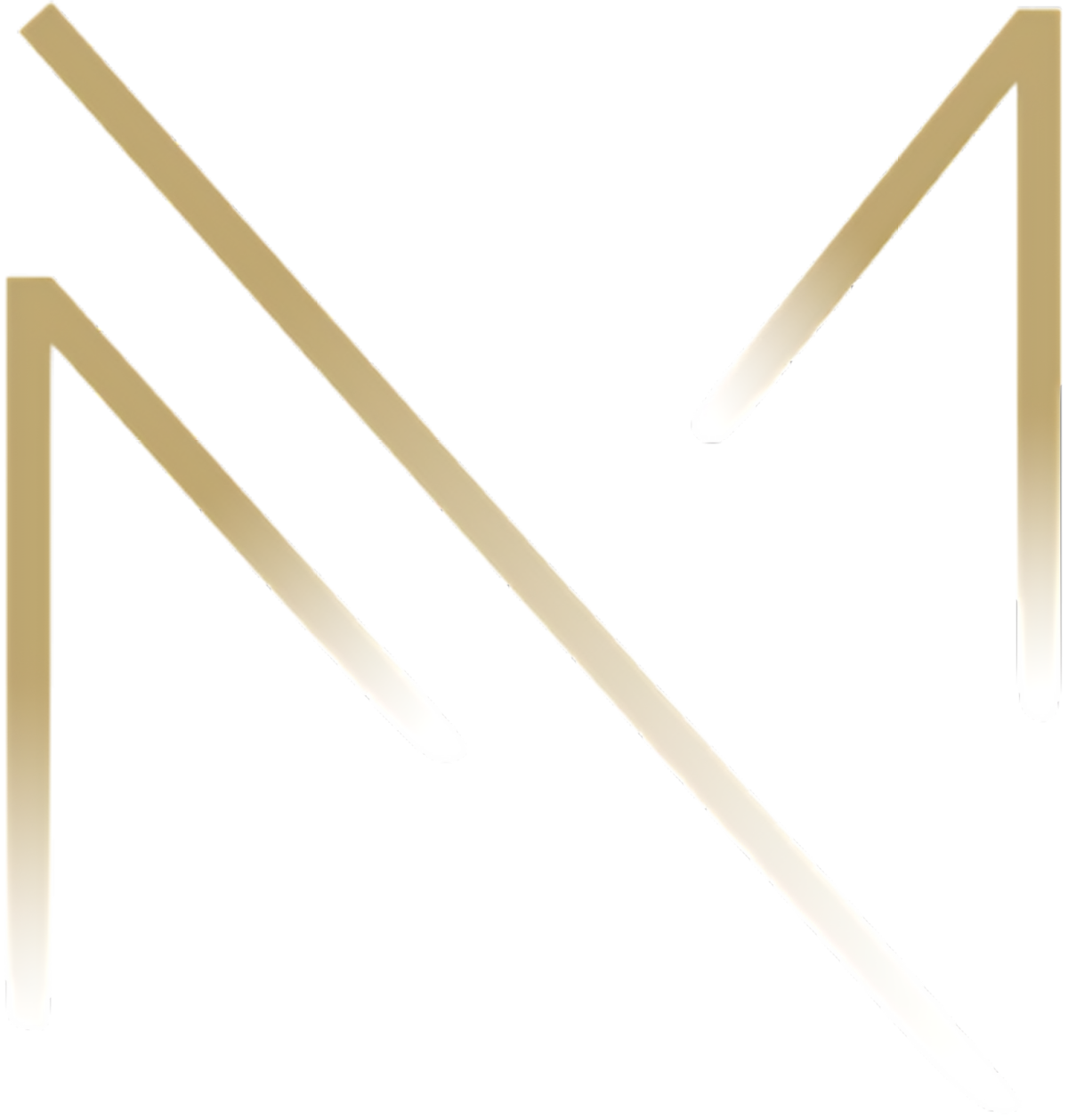 Arhitekta Macura A. Logo