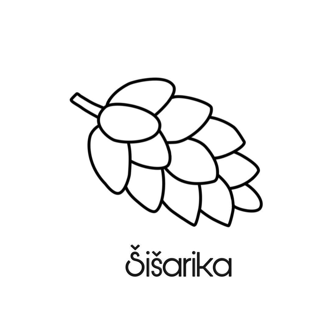 Šišarika Logo