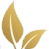 Body & Skin Concept Logo