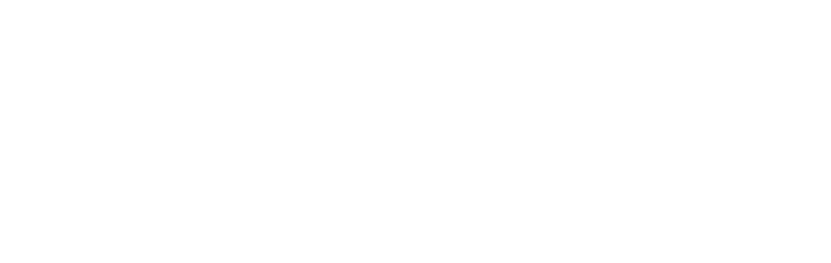 Specijalistička Ginekološka Ordinacija Lina Štefanić Dr Med Spec Gin I Opst Logo