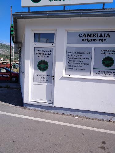 Camelija osiguranje Logo