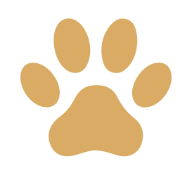 Campi - salon za uljepšavanje i njegu pasa logo