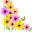 Cvećara G.V. logo