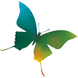Cvćara Leptir logo