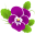 Cvećara Pančevo Belaaa Dekor Logo