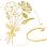 Cvjećarnica Ćavar Logo