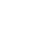 Dora Logistics Logo