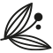 Derma Viva Logo