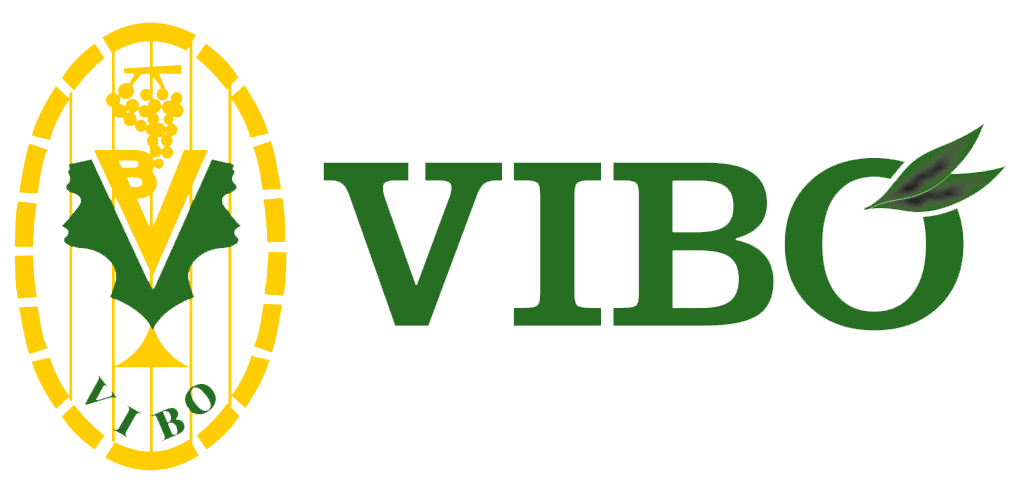 VIBO DOO Logo