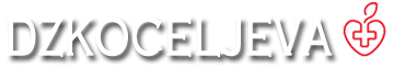 Dom zdravlja Koceljeva logo