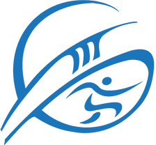 Dr Mircic Logo
