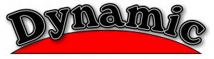 Dynamic NS Logo
