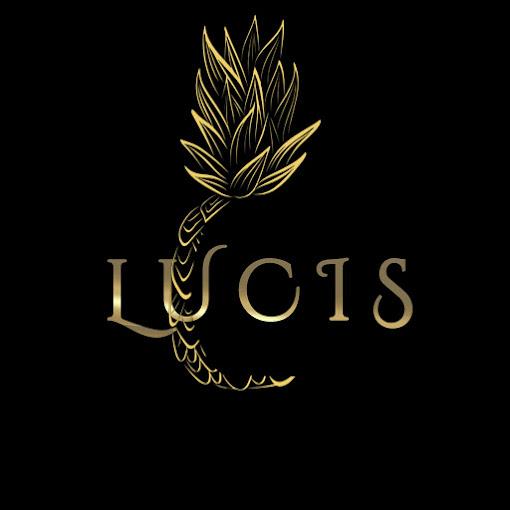 Stomatološka ordinacija Lucis Logo