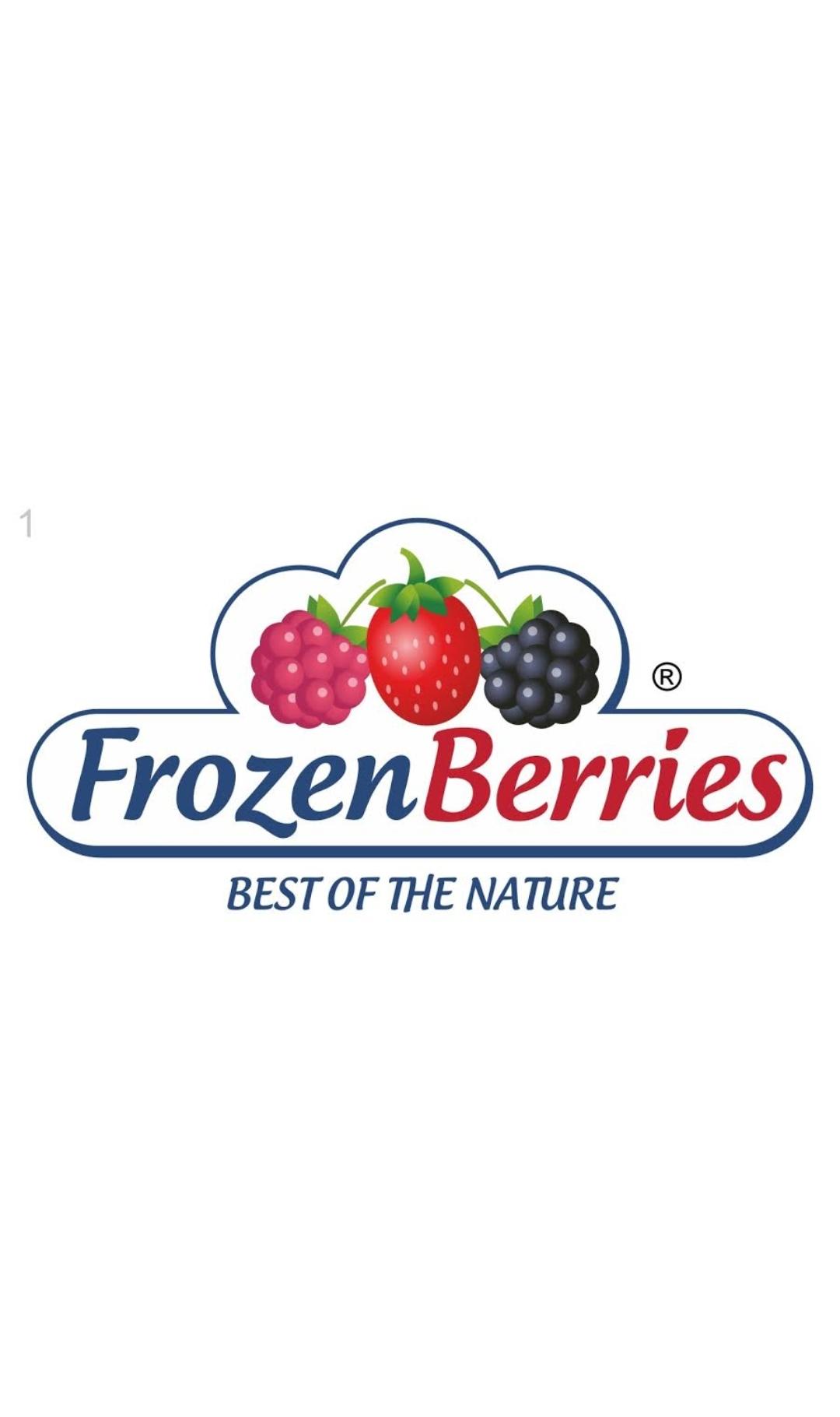 STARNET D.O.O. P.J. Frozen Berries Logo