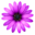 Flower shop Cveta Logo
