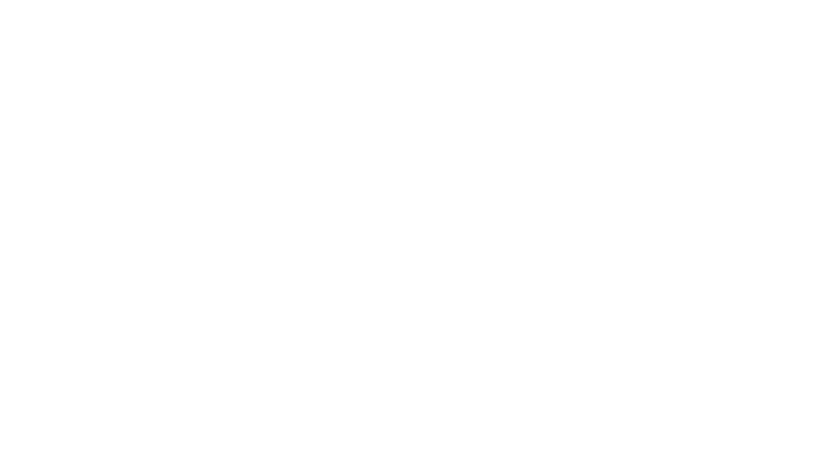 Foto Studio Ameli Logo